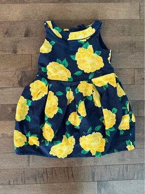 Janie and Jack Floral Dress - 3T